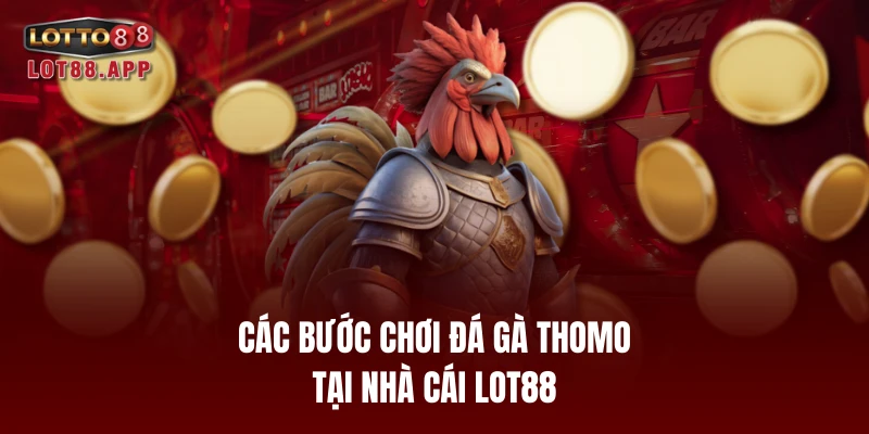 Các bước chơi đá gà Thomo tại nhà cái LOT88