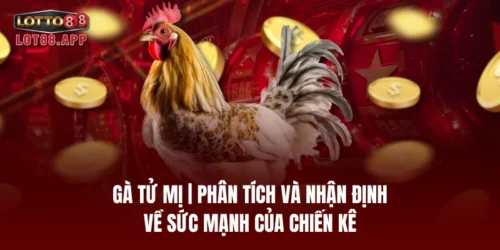 ga tu mi or phan tich va nhan dinh ve suc manh cua chien ke