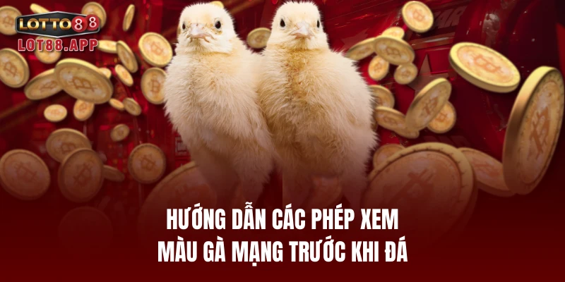 Hướng dẫn các phép xem màu gà mạng trước khi đá