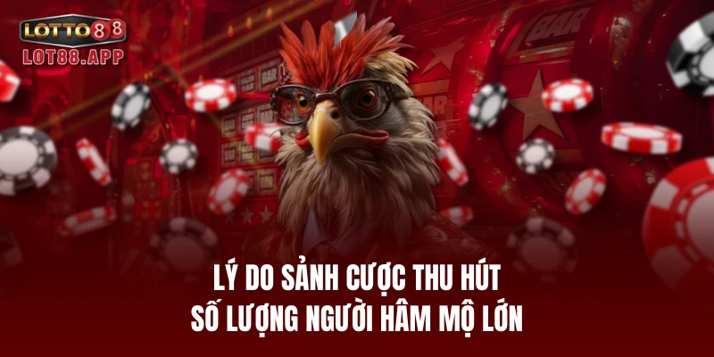 Lý do sảnh cược thu hút số lượng người hâm mộ lớn