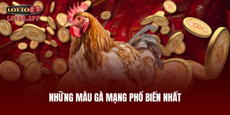 Những màu gà mạng phổ biến nhất