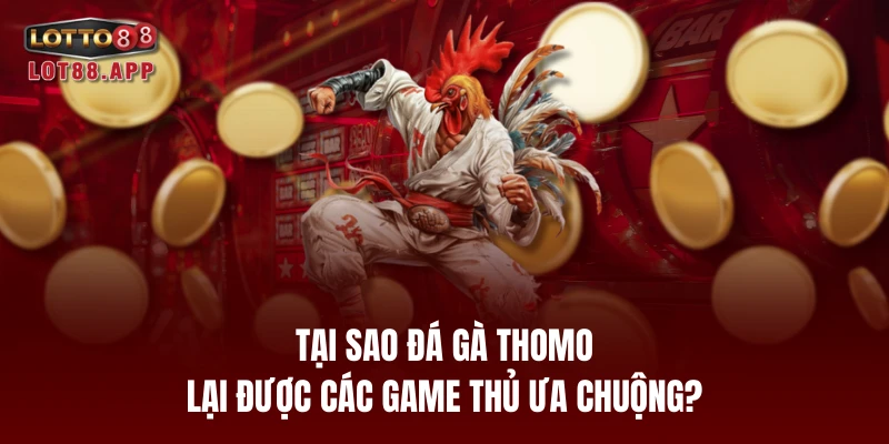 Tại sao đá gà Thomo lại được các game thủ ưa chuộng?